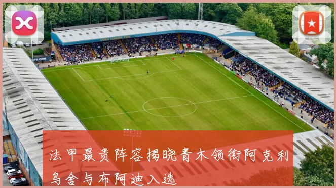 法甲最贵阵容揭晓青木领衔阿克利乌舍与布阿迪入选