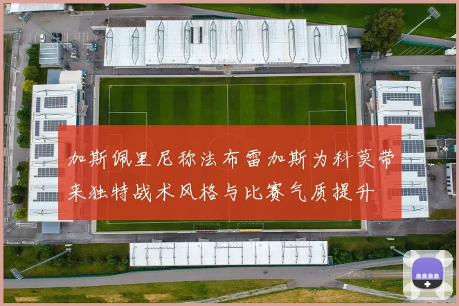 加斯佩里尼称法布雷加斯为科莫带来独特战术风格与比赛气质提升