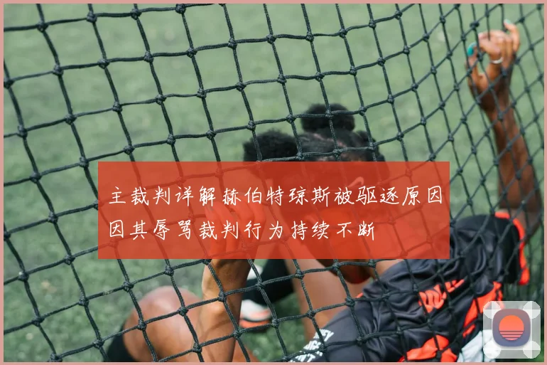 主裁判详解赫伯特琼斯被驱逐原因因其辱骂裁判行为持续不断