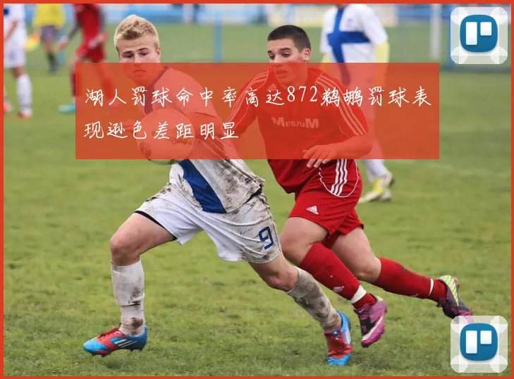 湖人罚球命中率高达872鹈鹕罚球表现逊色差距明显