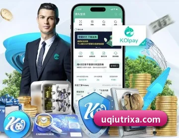 U球体育 APP